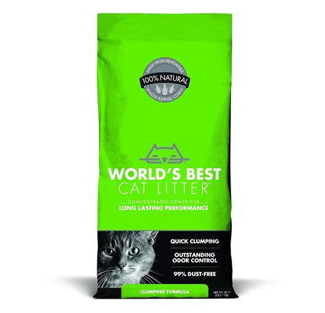 best odour control cat litter|8 Best Cat Litters for Odor Control With Our 2024 Budget.